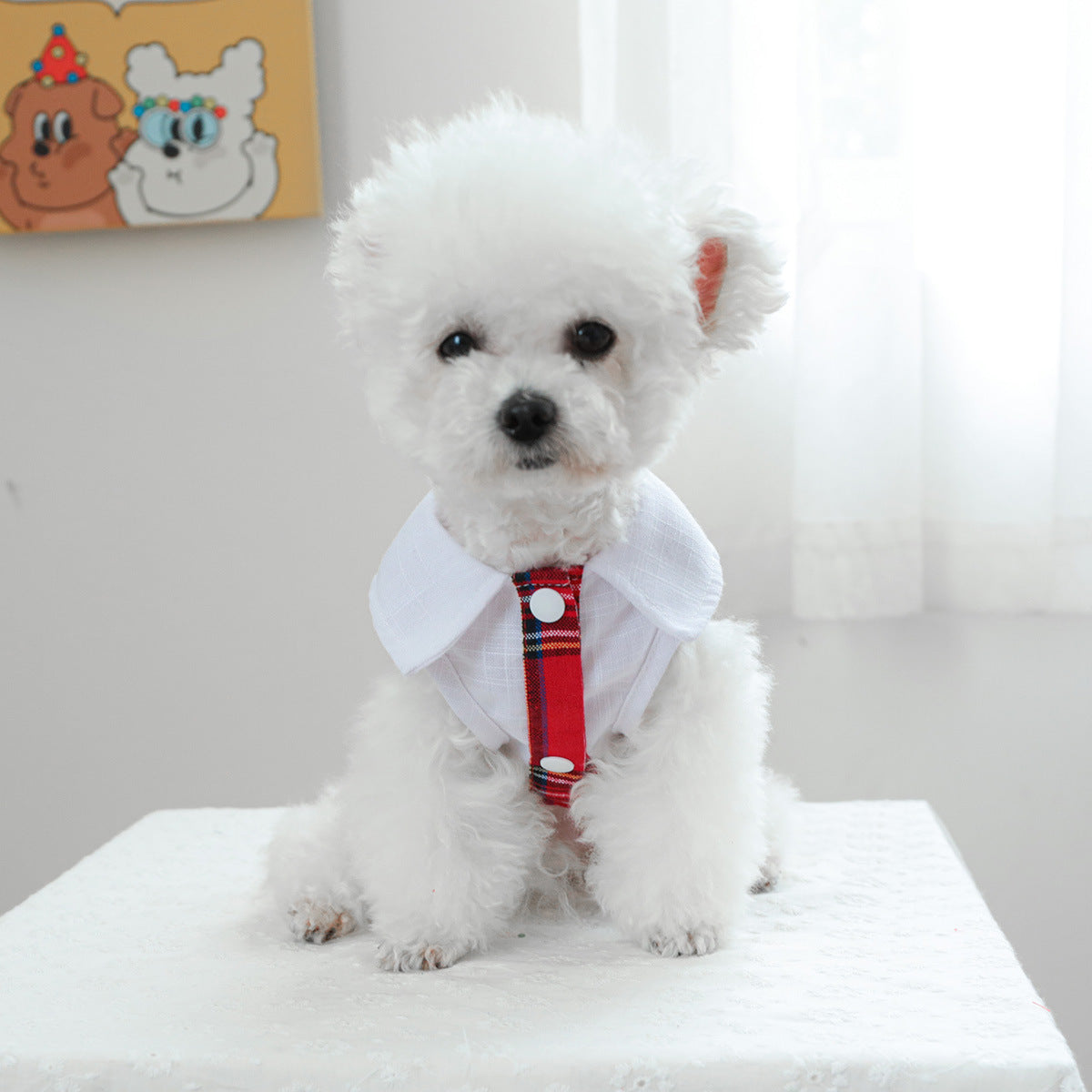 Kumago® Aristocrat Academy Dress