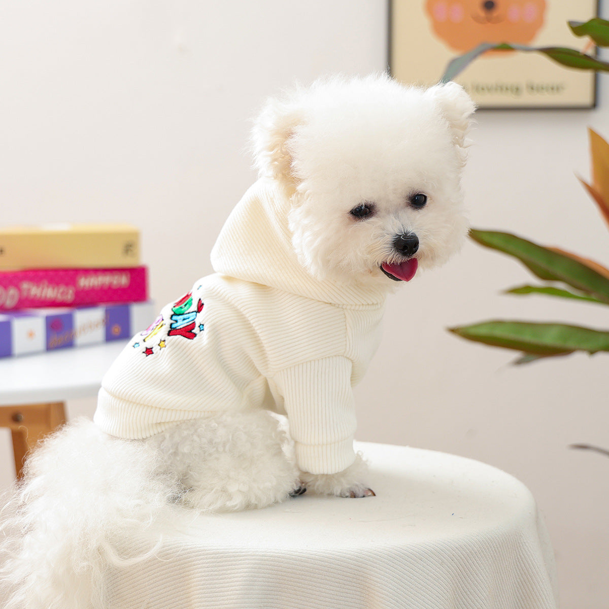 Kumago® Birthday Baby Colorful Hoodie