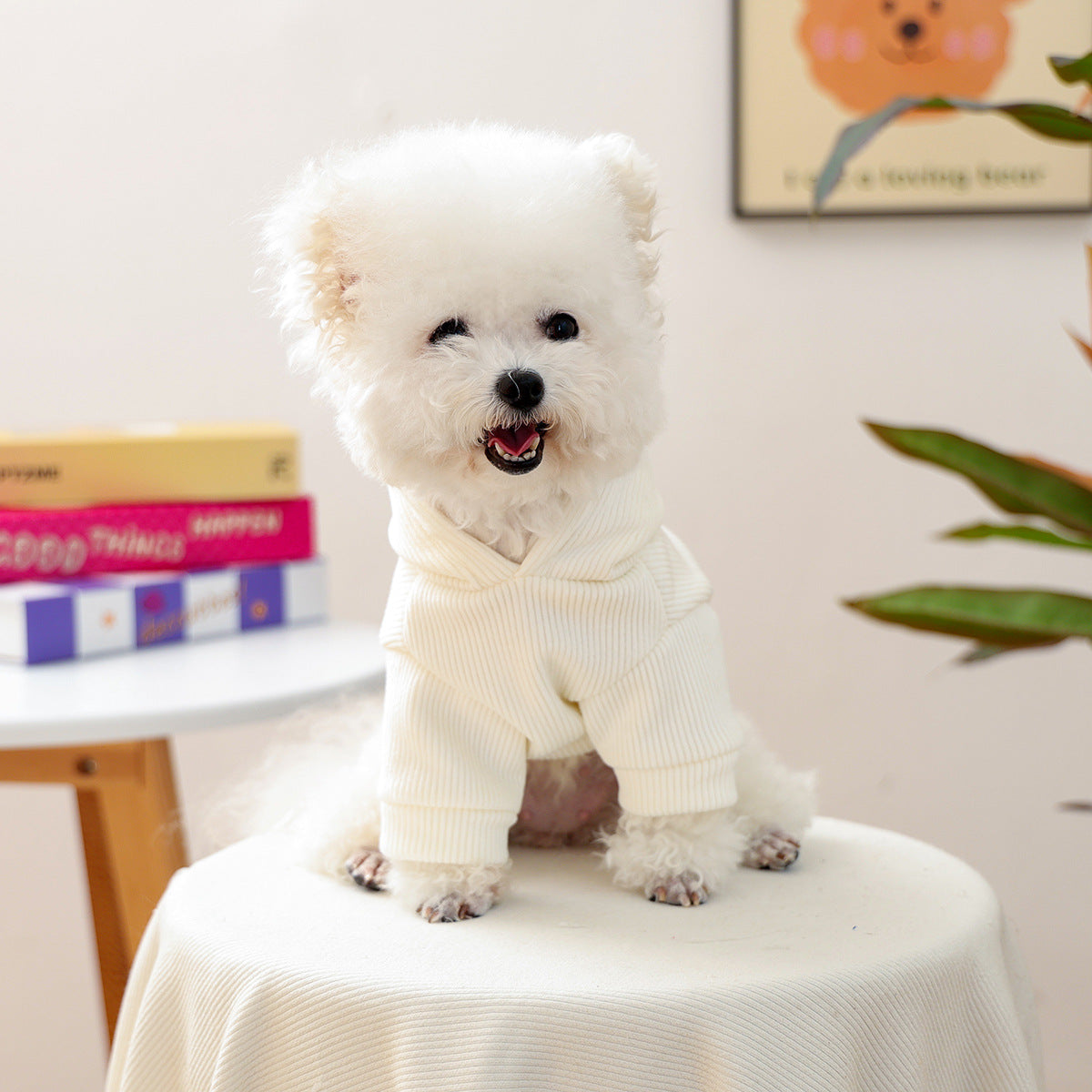 Kumago® Birthday Baby Colorful Hoodie