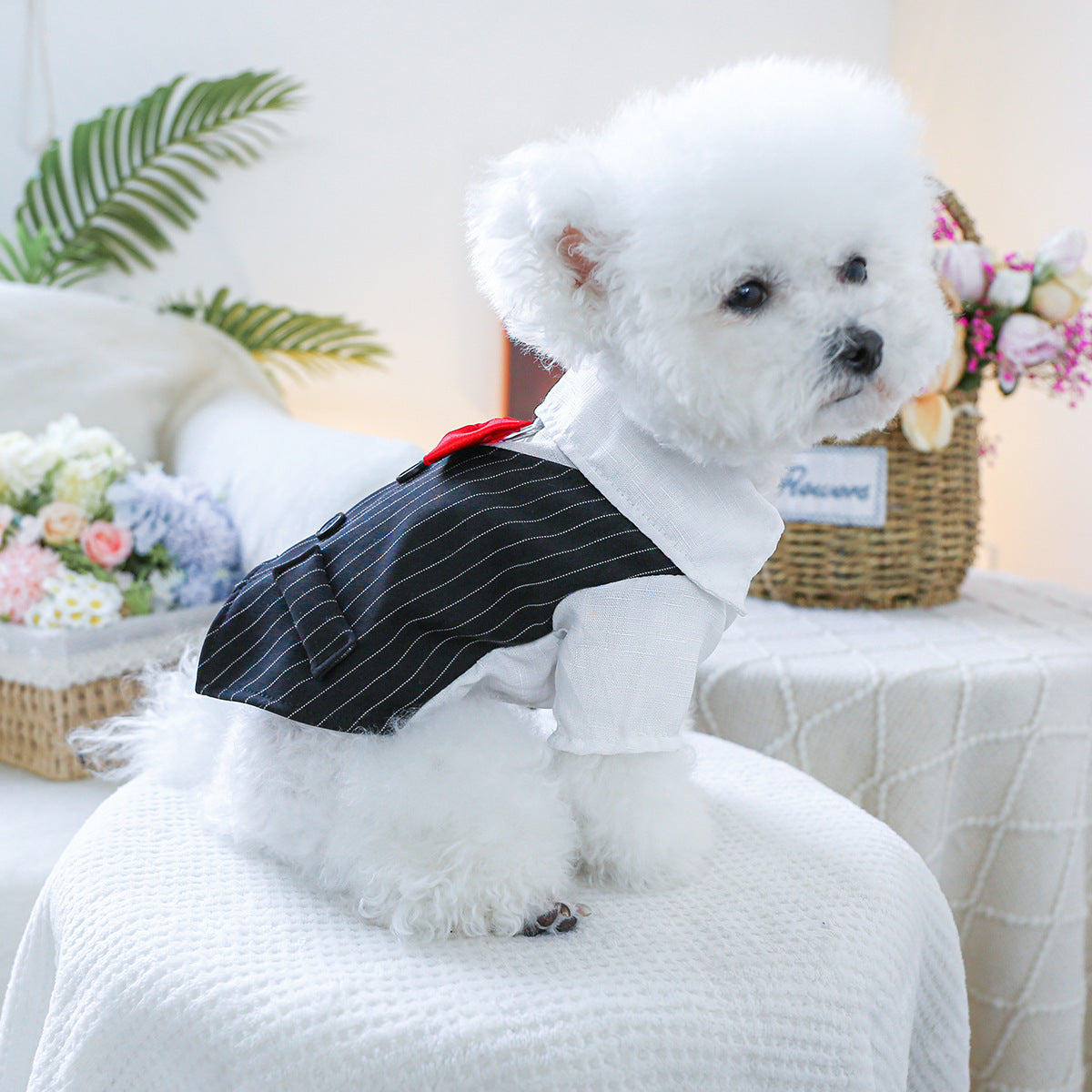 Kumago® Bow-Tie Tuxedo Vest