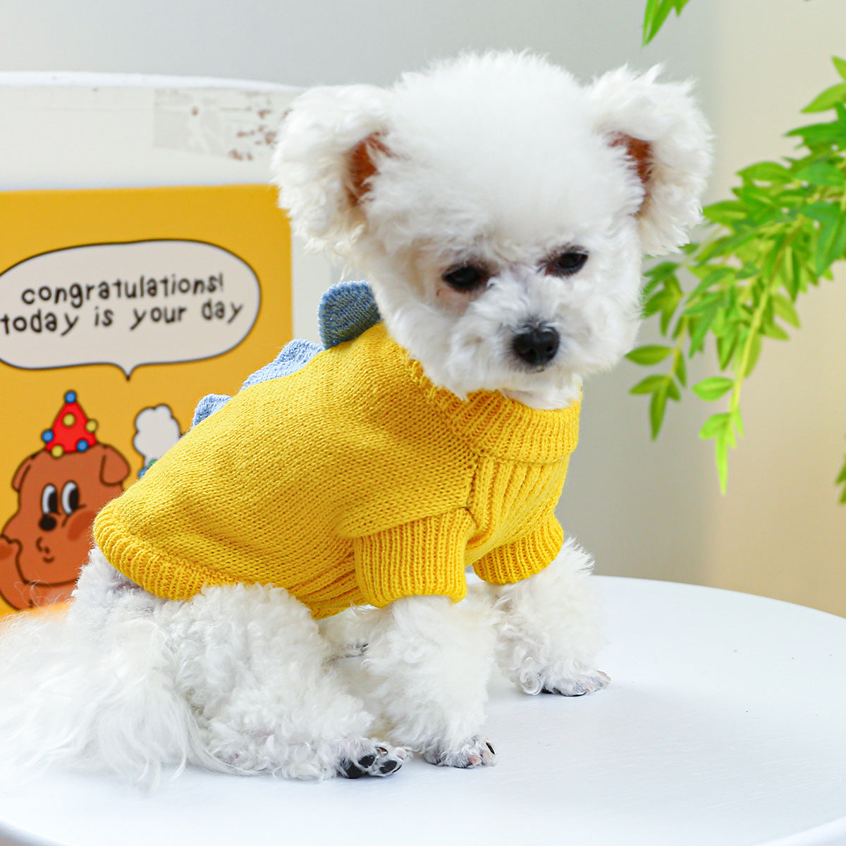 Kumago® Dino Knit Sweater