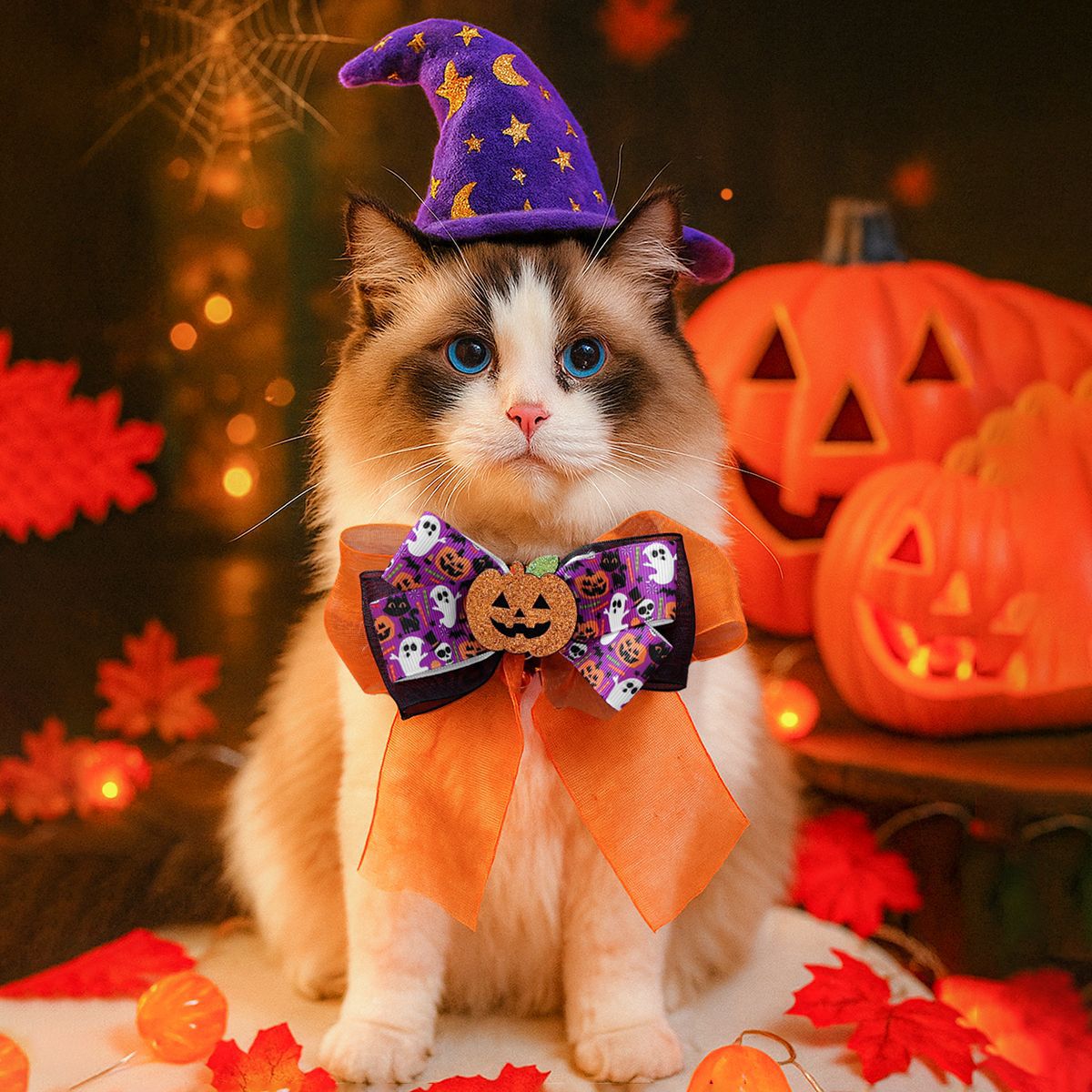 Halloween Charm Collar