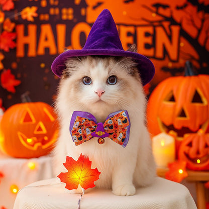 Halloween Charm Collar