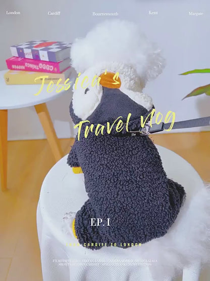 Kumago® Little Penguin Transformation Outfit